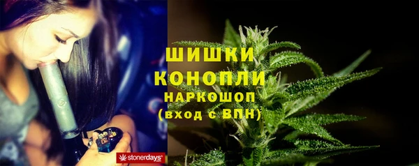 индика Лихославль