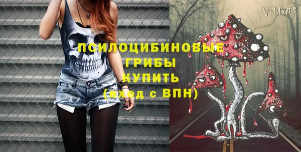 индика Лихославль
