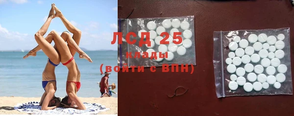 индика Лихославль