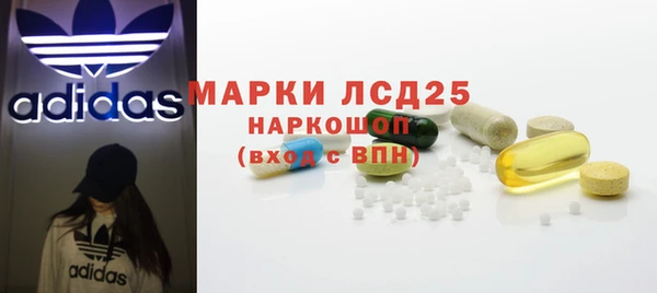 индика Лихославль