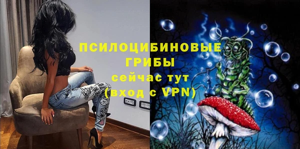 индика Лихославль