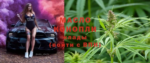 индика Лихославль