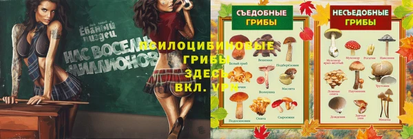 индика Лихославль