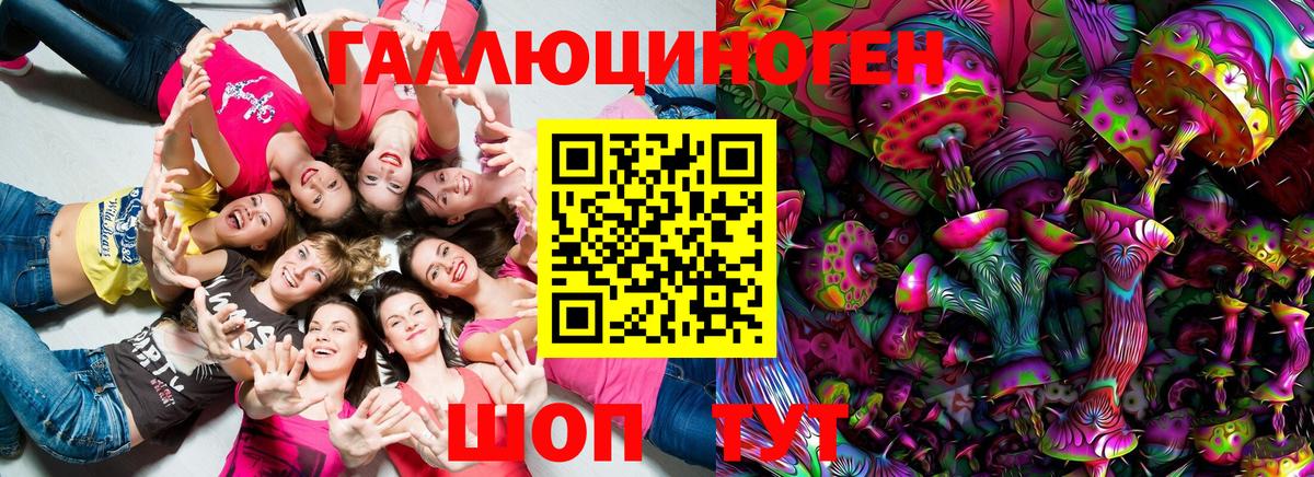 Псилоцибиновые грибы Psilocybe Северобайкальск