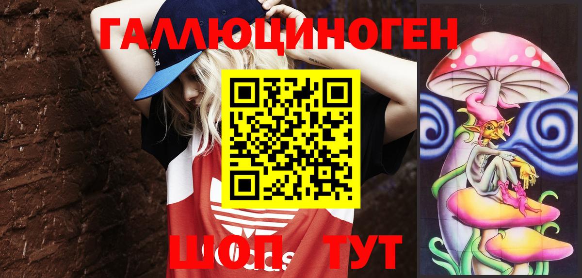 Северобайкальск  Галлюциногенные грибы Psilocybe  Вход с VPN 