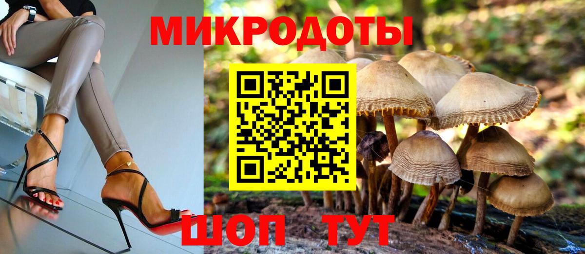 МЕФ Северобайкальск
